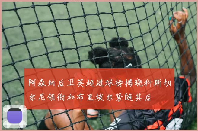 阿森纳后卫英超进球榜揭晓科斯切尔尼领衔加布里埃尔紧随其后